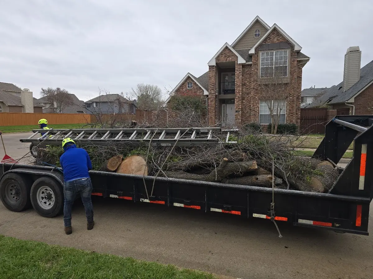 Expert Lot Clearing with proper safety equipment in Adah